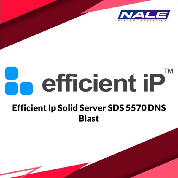Efficient Ip Solid Server SDS 5570 DNS Blast