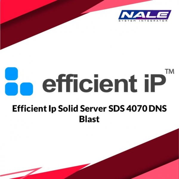 Efficient Ip Solid Server Sds 4070 DNS Blast
